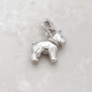 Charm Terrier