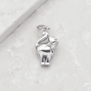 Charm Gatto